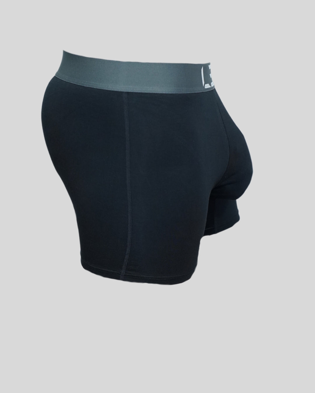 BRIEFS