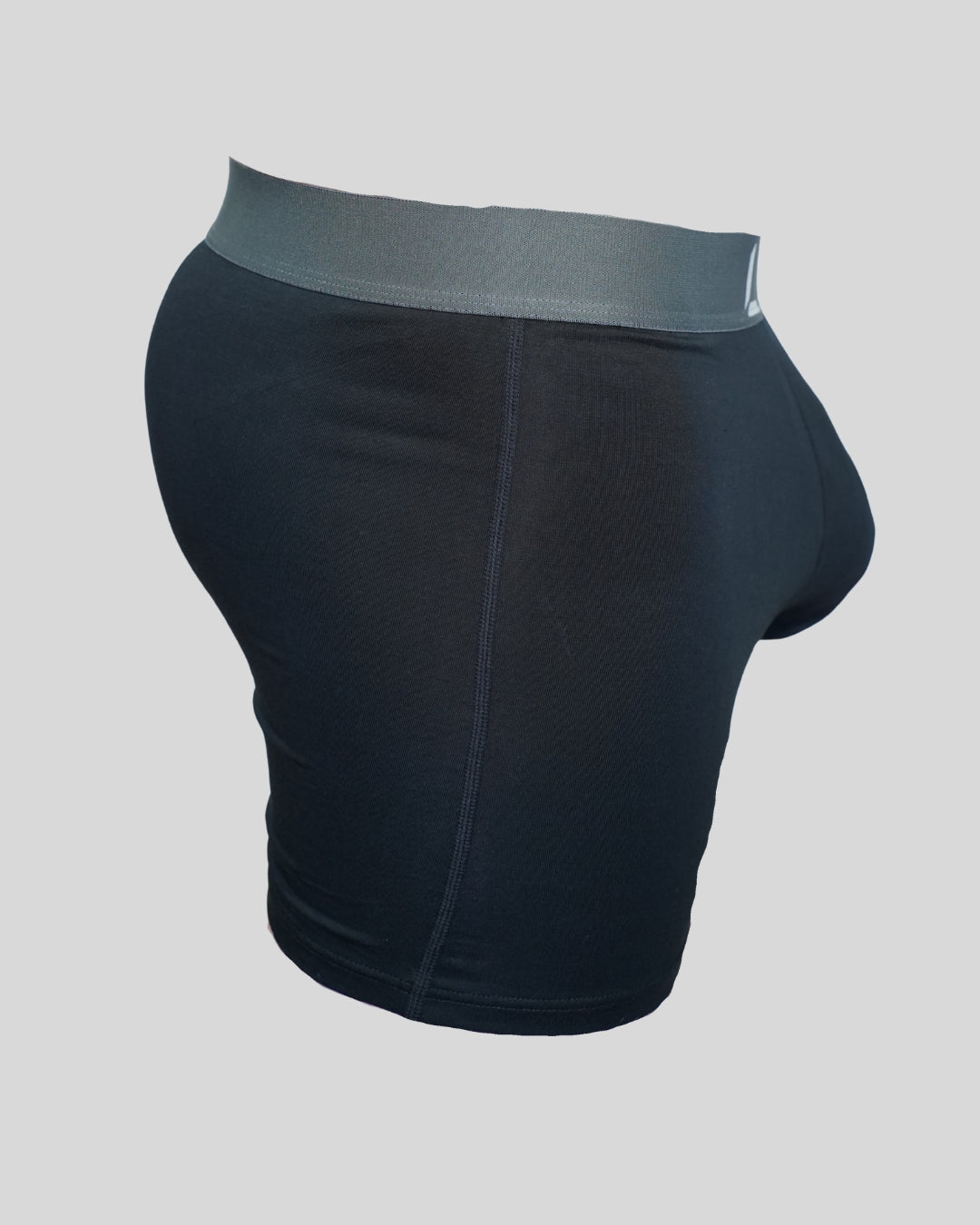 BRIEFS