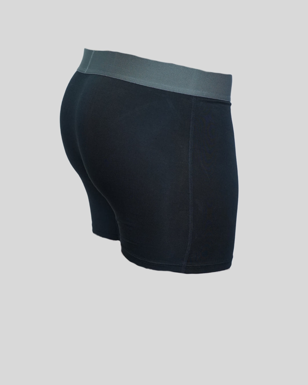 BRIEFS